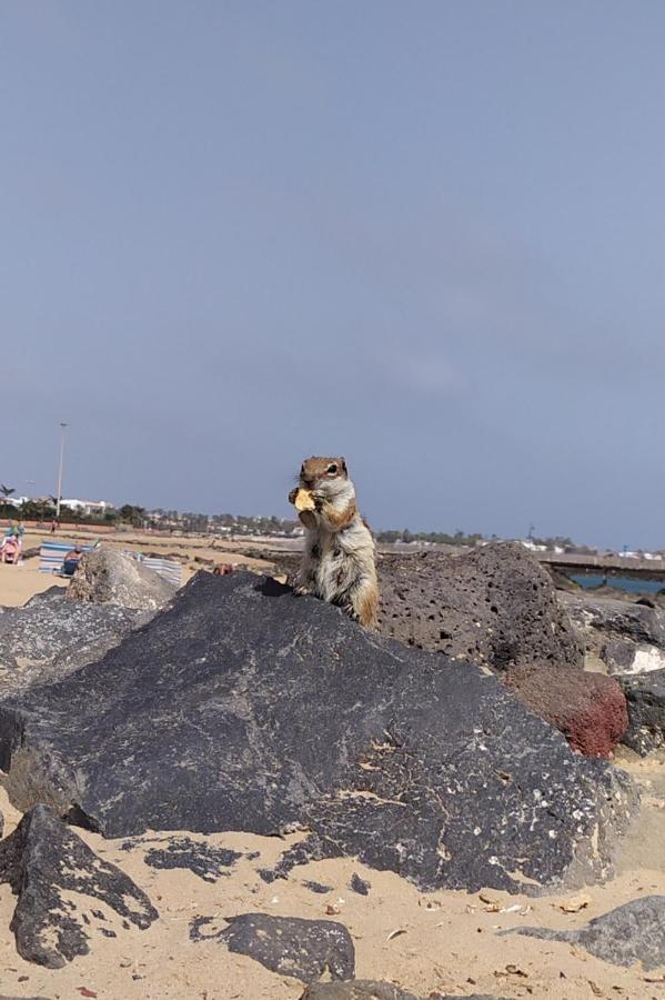 Holiday Rent Fuerteventura 코스타 데 안티과 외부 사진